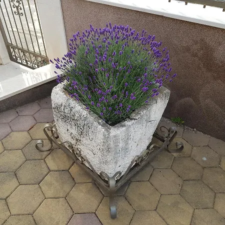 Apartmán Ivona 2 Trogir