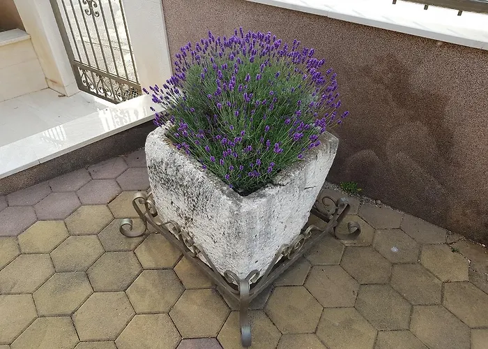 Apartmán Ivona 2 Trogir